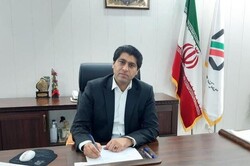 رشد ۲۰۸ درصدی پرونده های قاچاق کالا در گمرک مهران طی هفت ماه گذشته