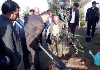 ایجاد کمربند سبز از پل زائر تا نقطه صفر مرزی در مهران